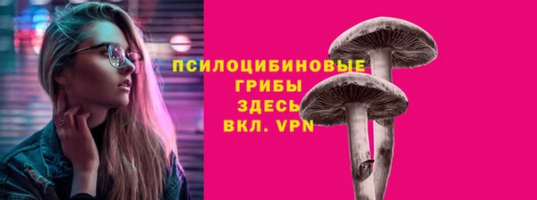 тгк Карталы