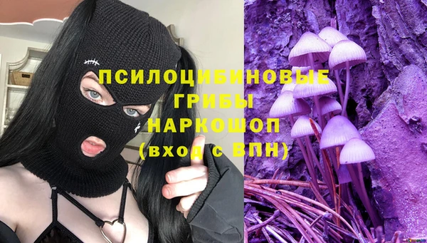 соль ск Карпинск