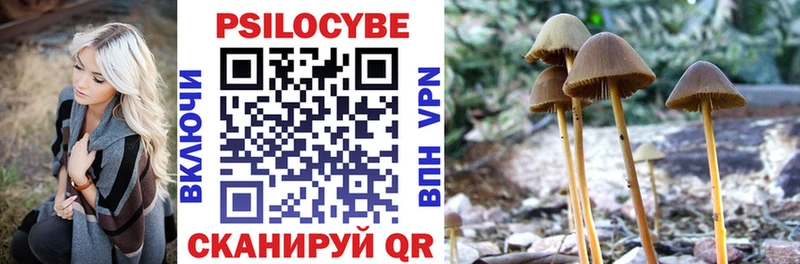 Псилоцибиновые грибы Cubensis Елизаветинская